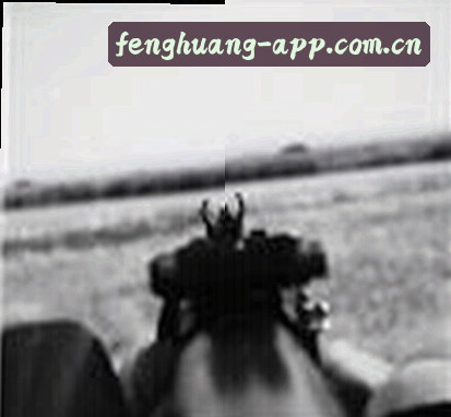 张晨